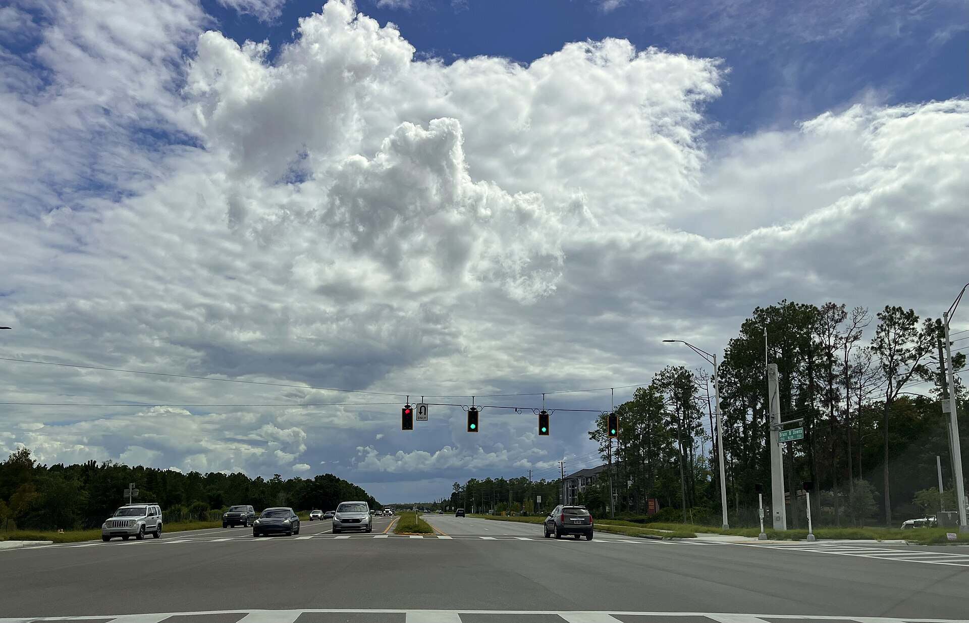 Wesley Chapel, Florida suburban community skyline and greenery in Pasco County.